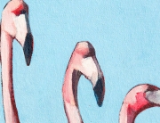 Anegada Flamingos 24 thumb Acrylic Ingrid Manzione