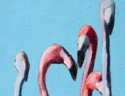 Anegada Flamingos 18 thumb Acrylic Ingrid Manzione